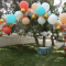 Balloon Artistry, established in 1987 by Jeff Fruman